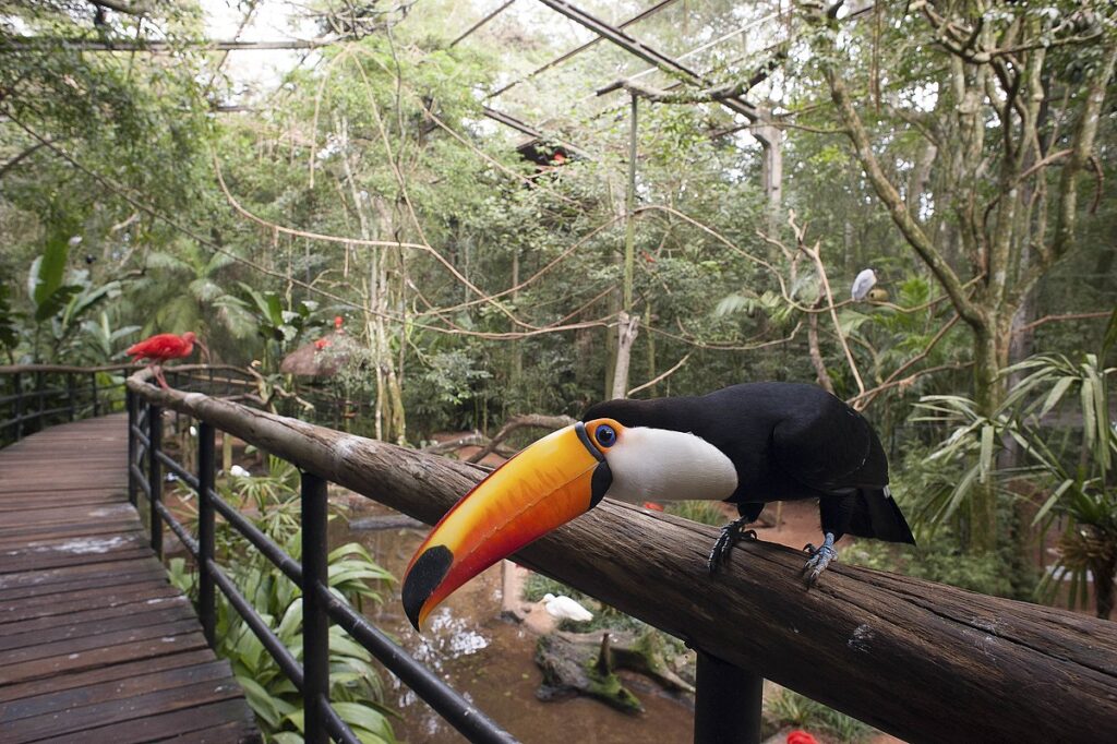 chegar em Foz do Iguaçu